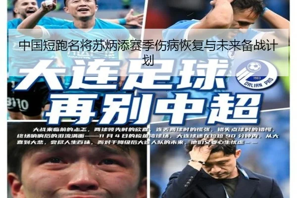 中国短跑名将苏炳添赛季伤病恢复与未来备战计划